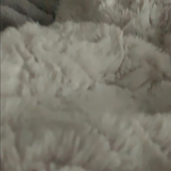 Meet your Posher, Taegan - Picture 1 of 1